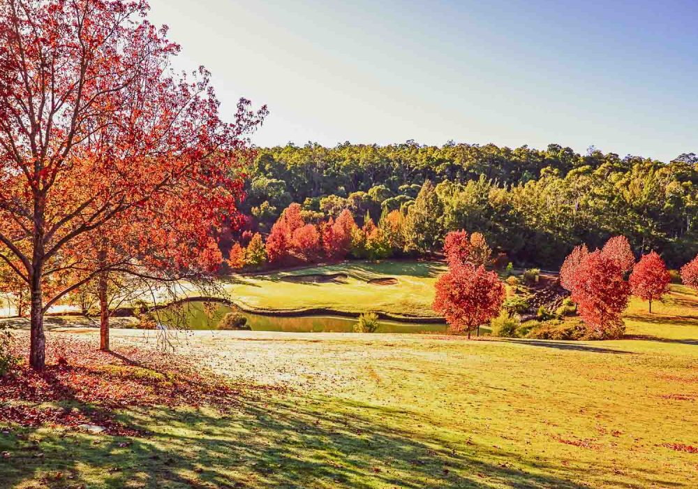 18th Green (1 of 4)