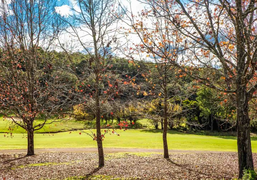 18th Green (3 of 4)