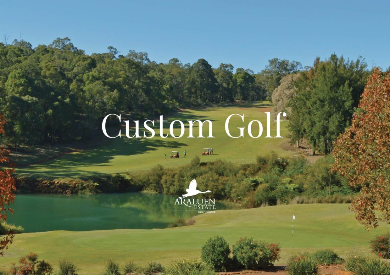 AE_Custom_Golf_Package_24_Update